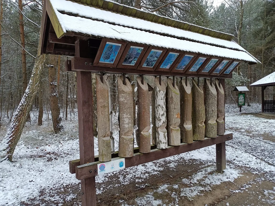 Ośrodek Dydaktyczno-Muzealny Poleskiego Parku Narodowego w Starym Załuczu