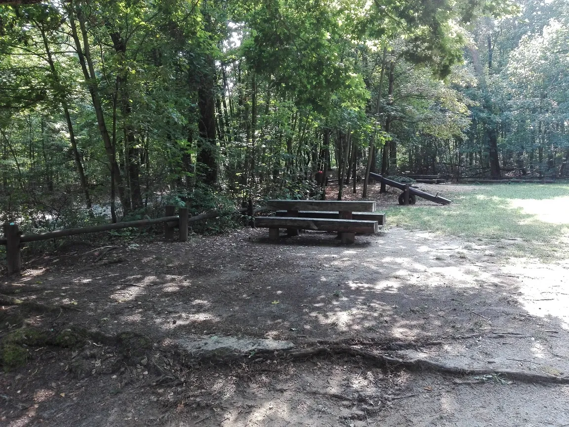 Leśny plac zabaw