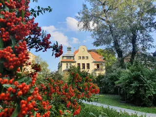 Muzyczny plac zabaw (z instrumentami muzycznymi)
