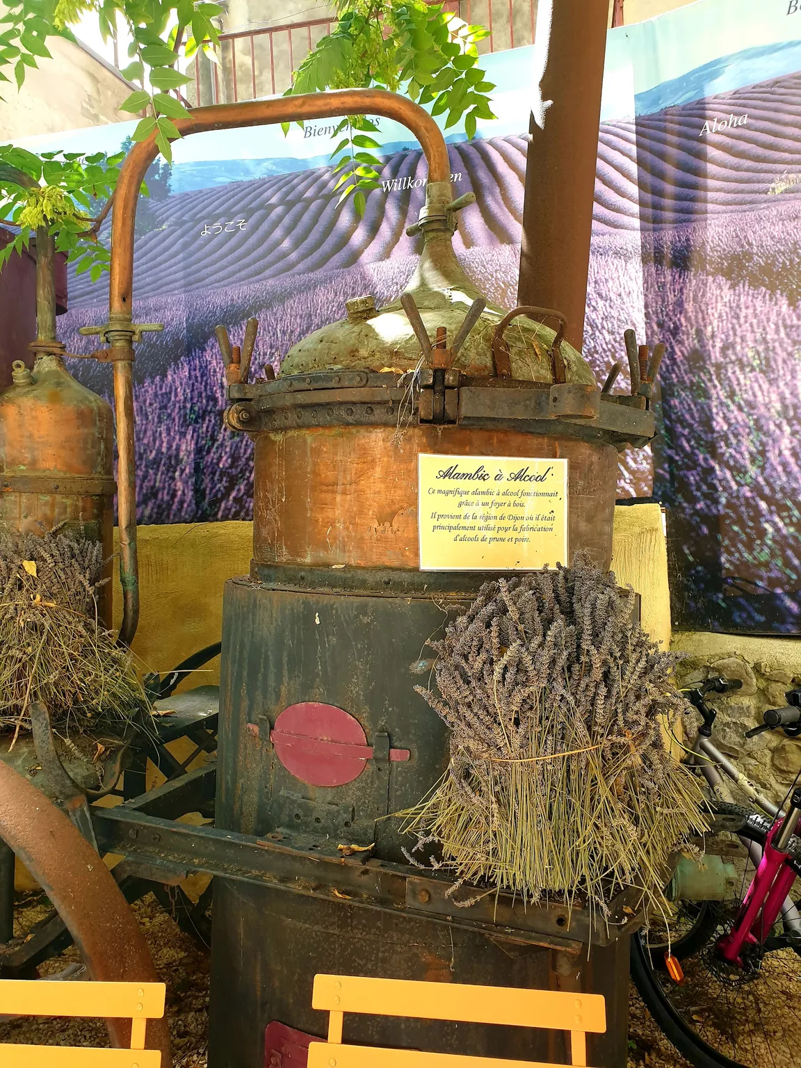 Musée de la Lavande à Digne-les-Bains (Digne 04)