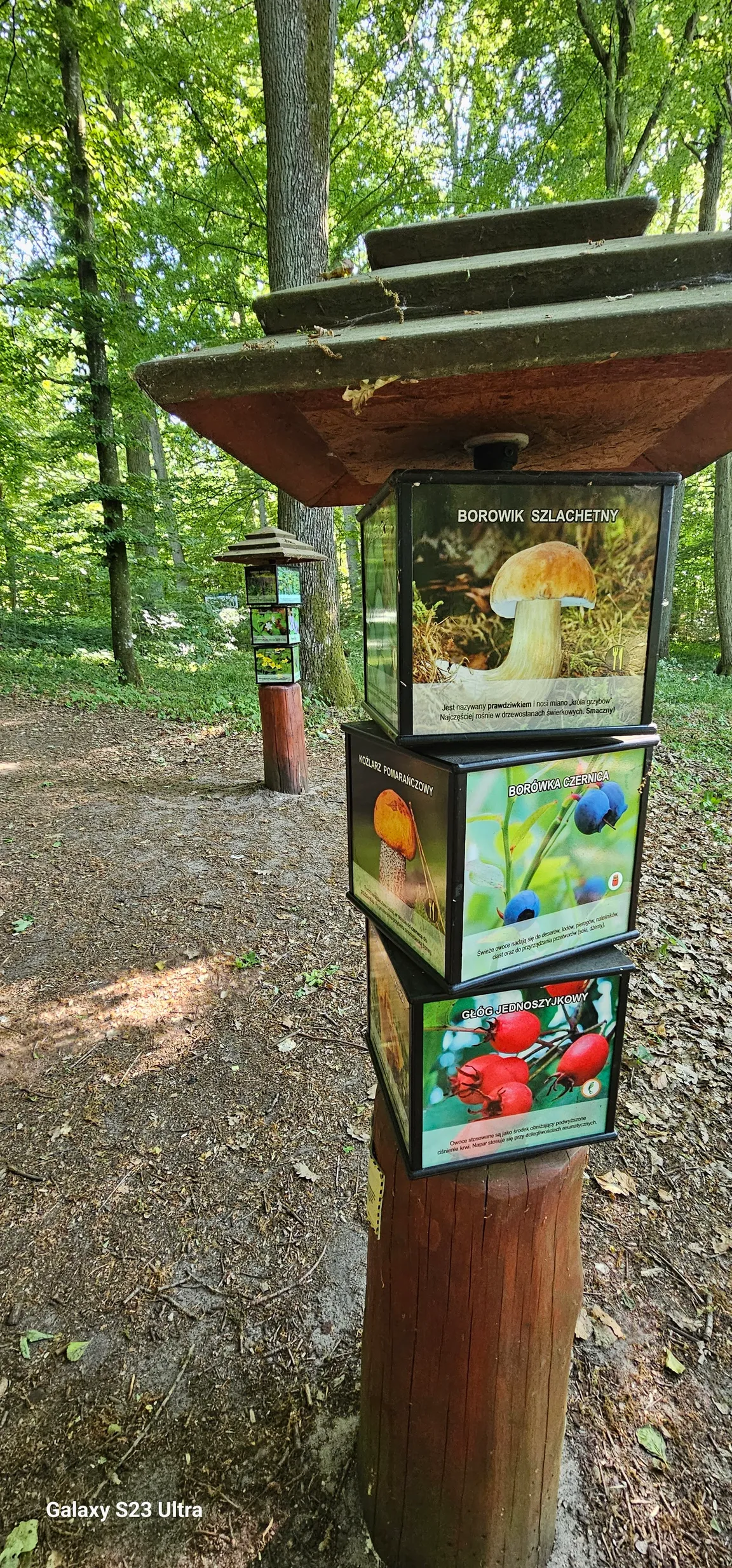 Ścieżka edukacyjna