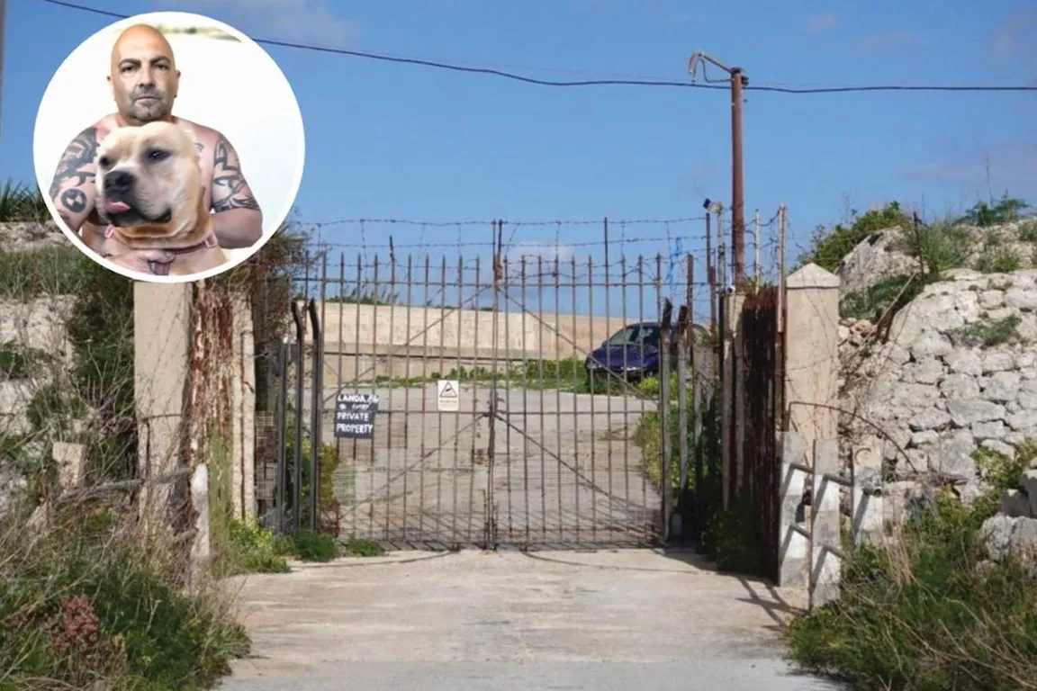 Fort Binġemma