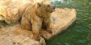 Haifa Zoo