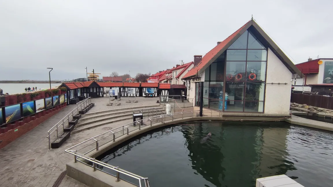 Fokarium Stacji Morskiej im. Prof. Krzysztofa Skóry