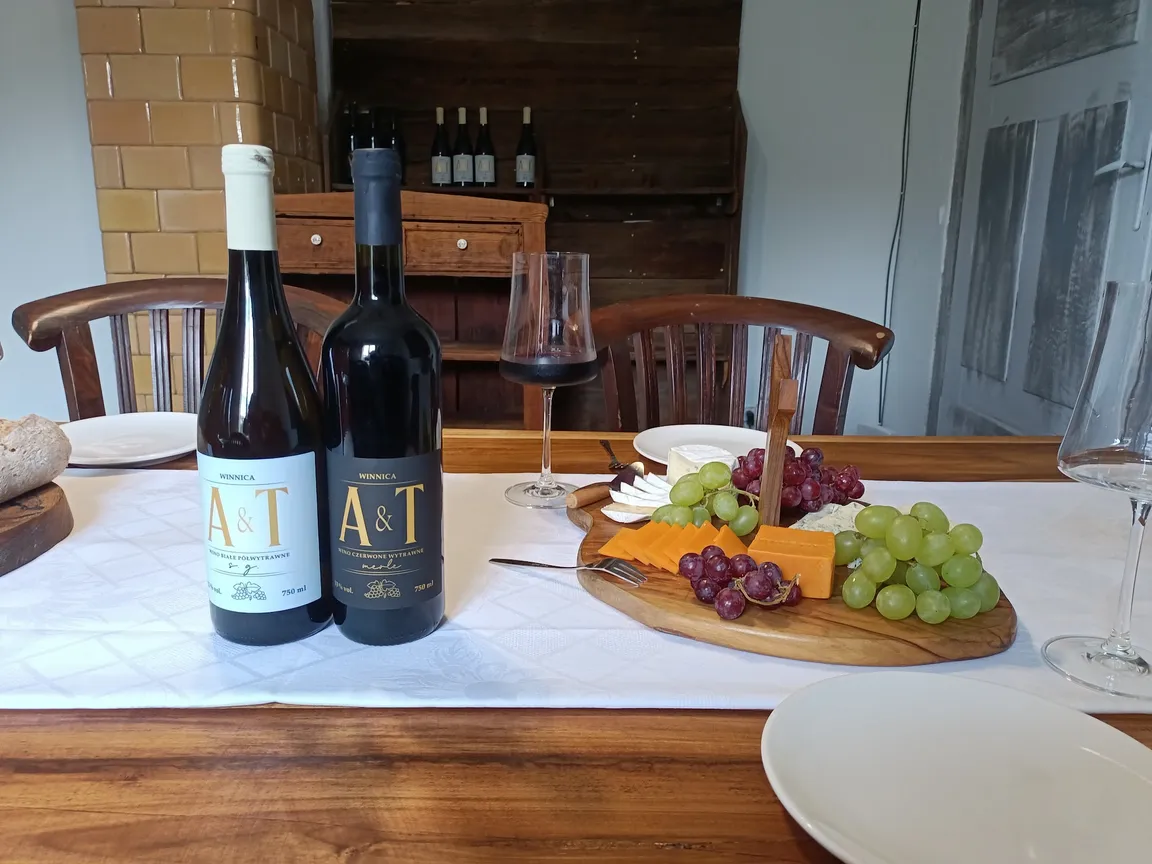 A&T Winnica