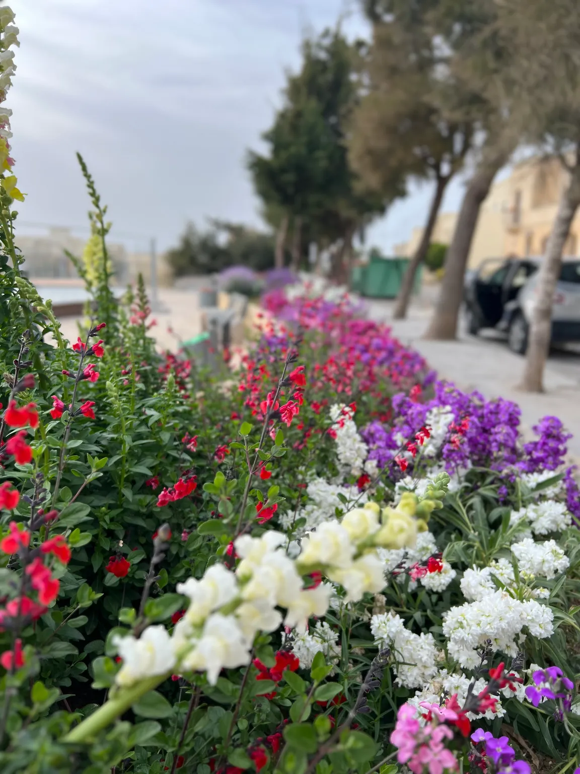 Għarb Playground
