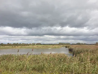 RSPB Pagham Harbour LNR