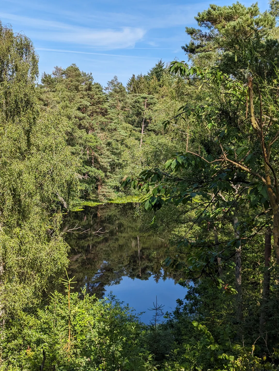 Paradisbakkerne