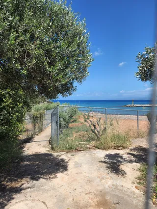 Spiridi Olive Oil Farm