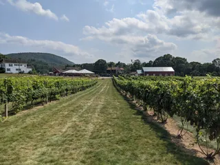 Rosedale Farms & Vineyards