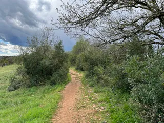 Belvedere du Cirque de Bone