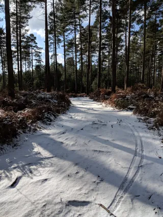 Top of trails Swinley