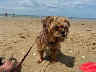 Minnis Bay Walking Trails. (Birchington)