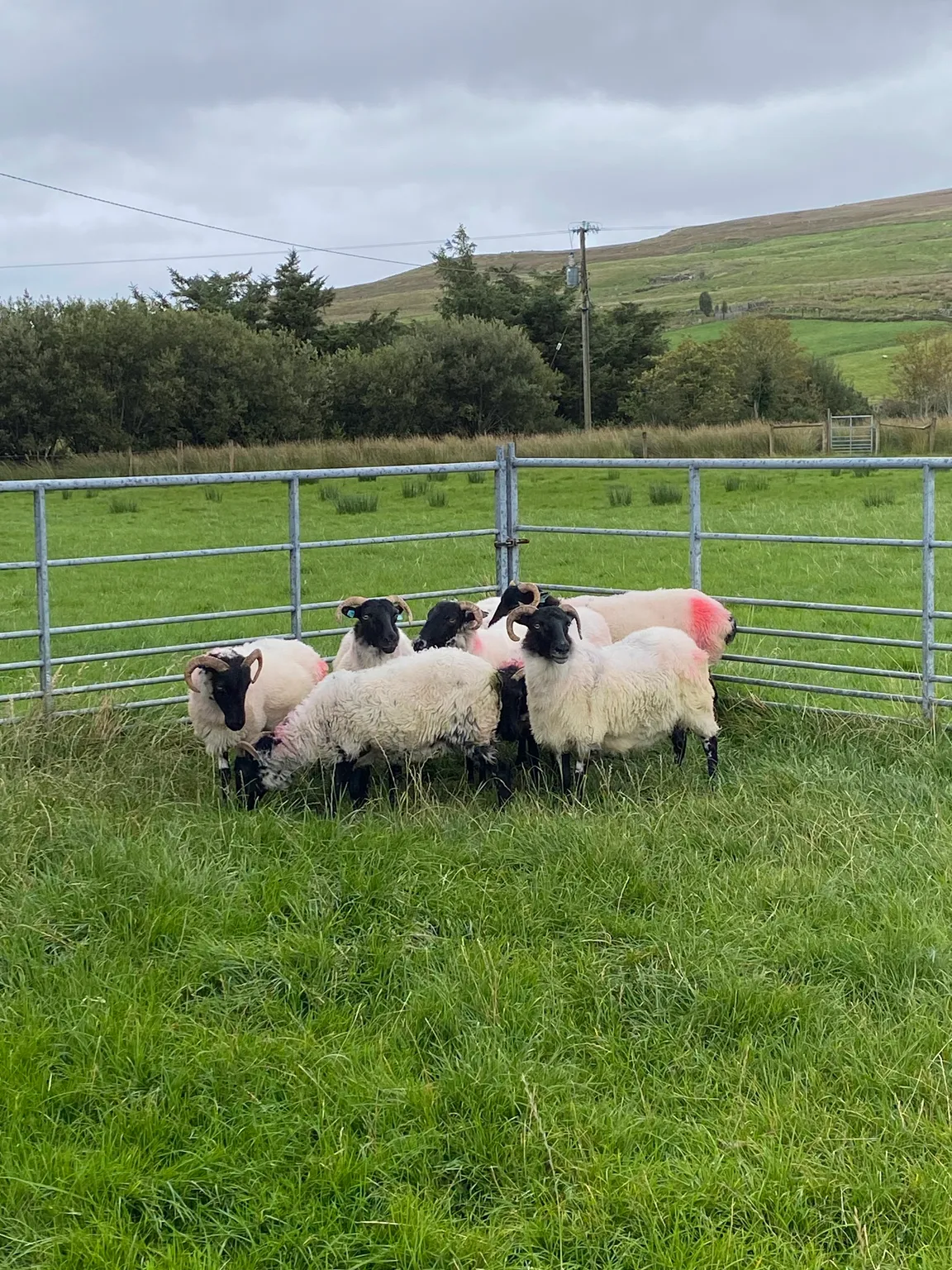 The Glen Keen Estate & Glen Keen Farm