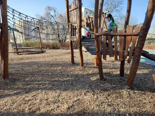 Dschungel-Spielplatz