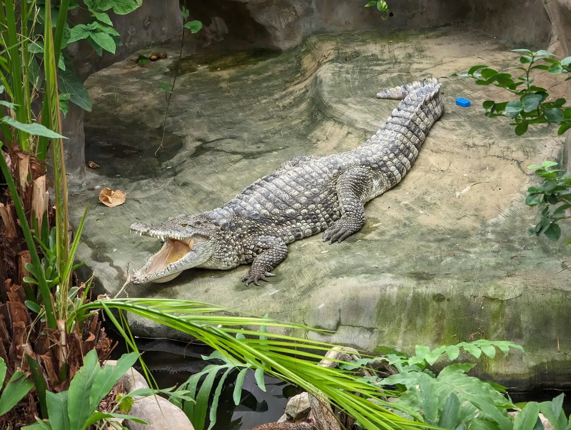 Miejski Ogród Zoologiczny im. Antoniny i Jana Żabińskich w Warszawie