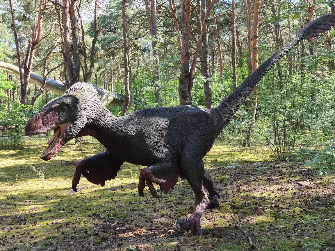 JuraPark Solec Kujawski