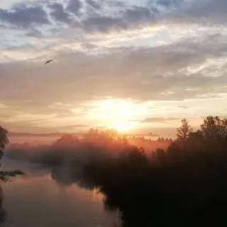 Ujscie Jasiołki do Wisłoki