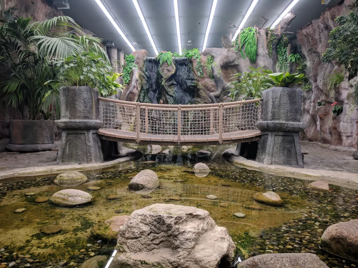 Butterfly House