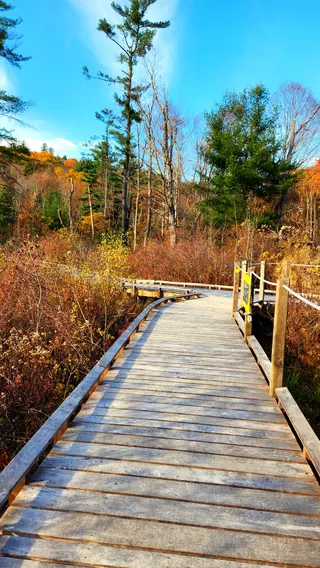 Mass Audubon's Pleasant Valley Wildlife Sanctuary