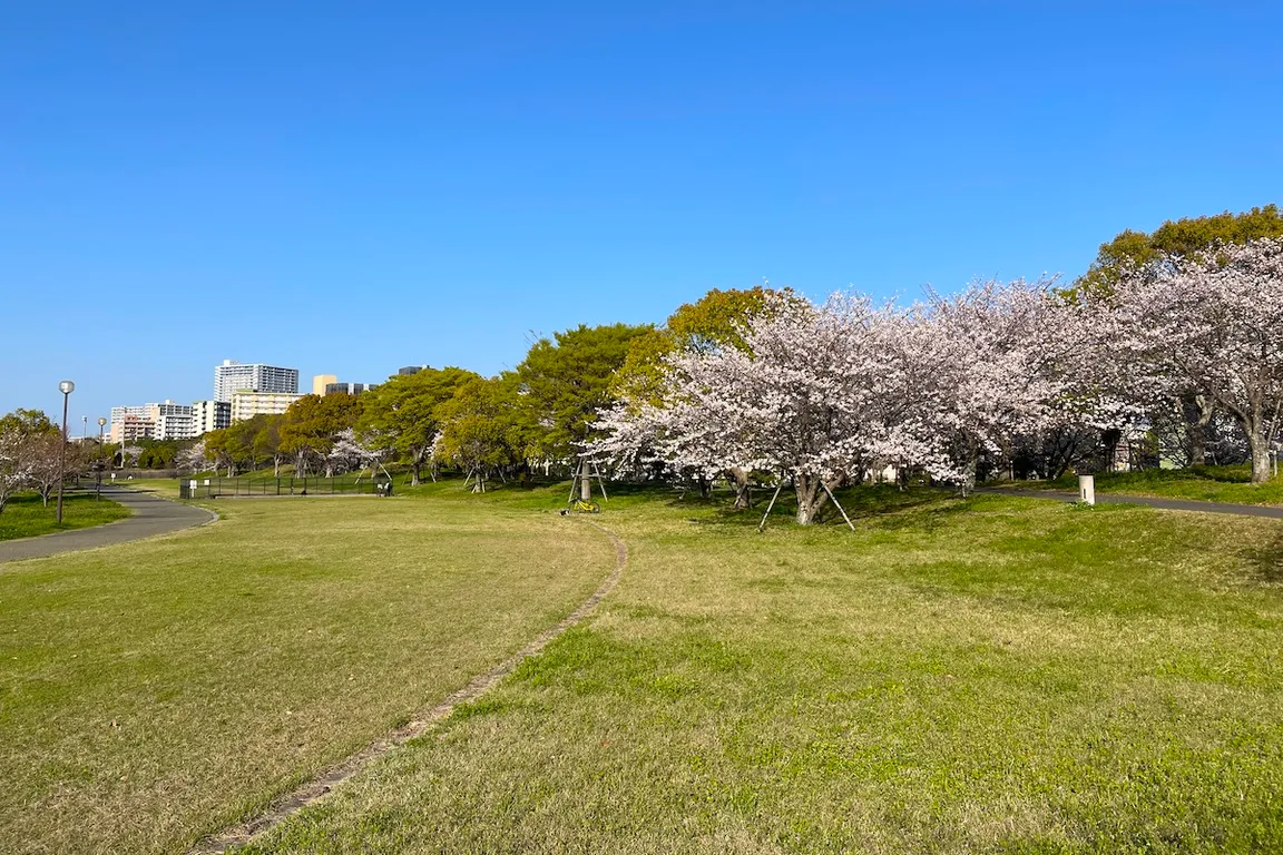 Minato 100 Nen Park