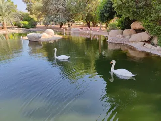 Al Ain Zoo