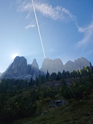 La sedia nel bosco