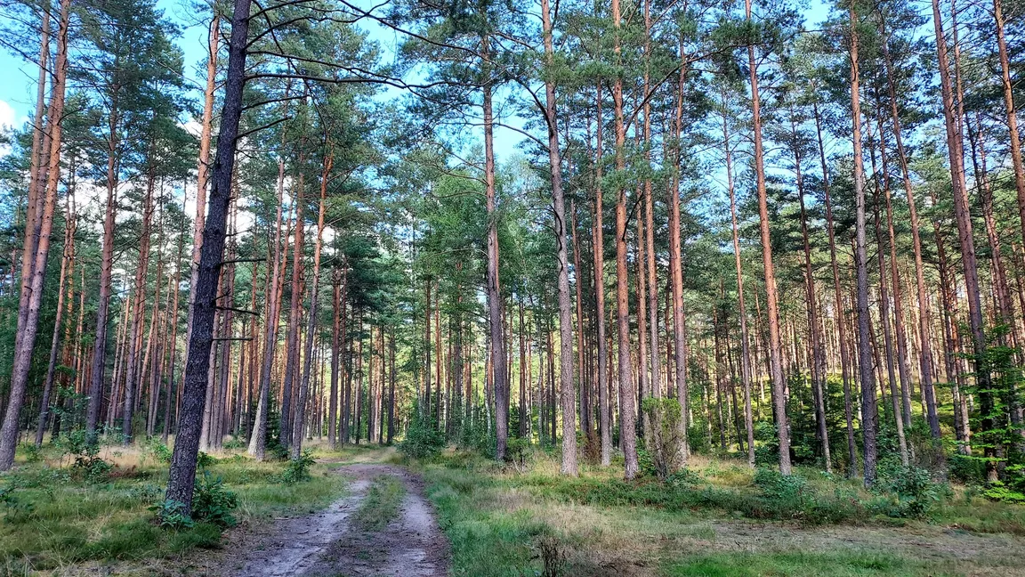 Kaszubski Park Krajobrazowy