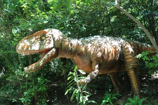Dino Adventure Nagoya