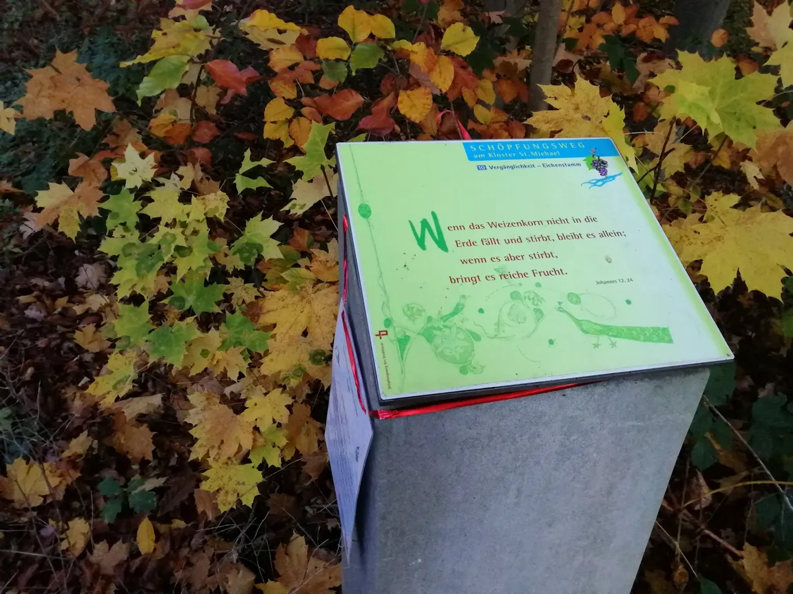 Schöpfungsweg Station 10: Vergänglichkeit - Eichenstamm
