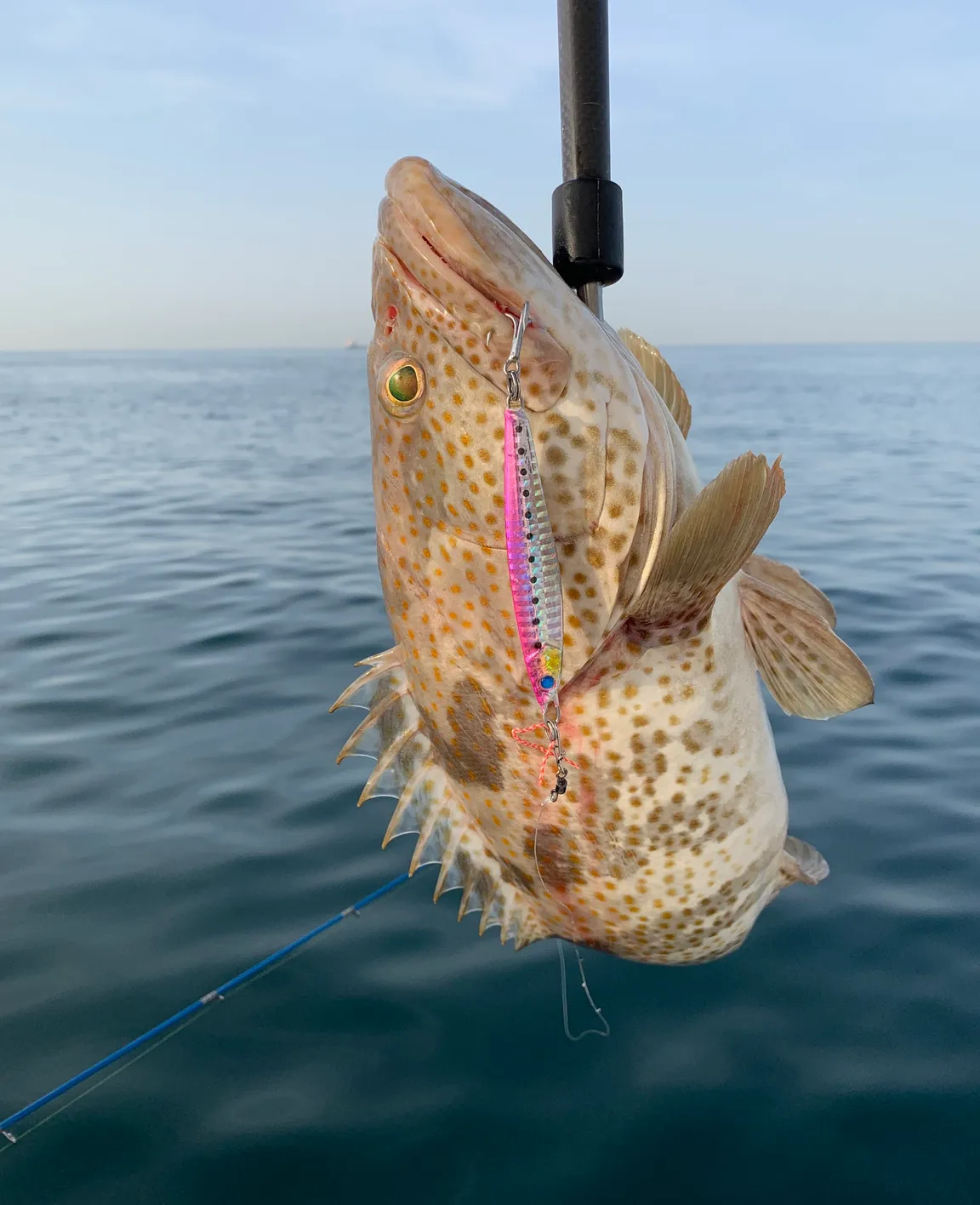 Ocealics Fishing Trips in Dubai