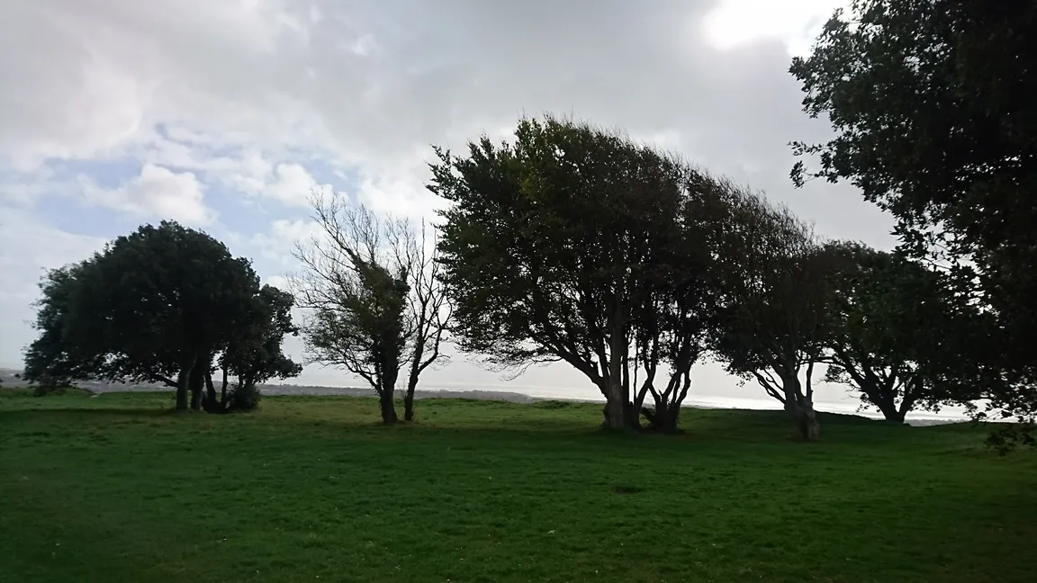 Highdown Hill
