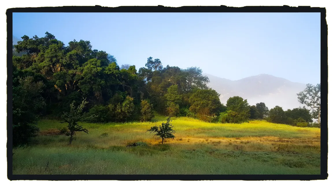 Malibu Creek SP Group Camp