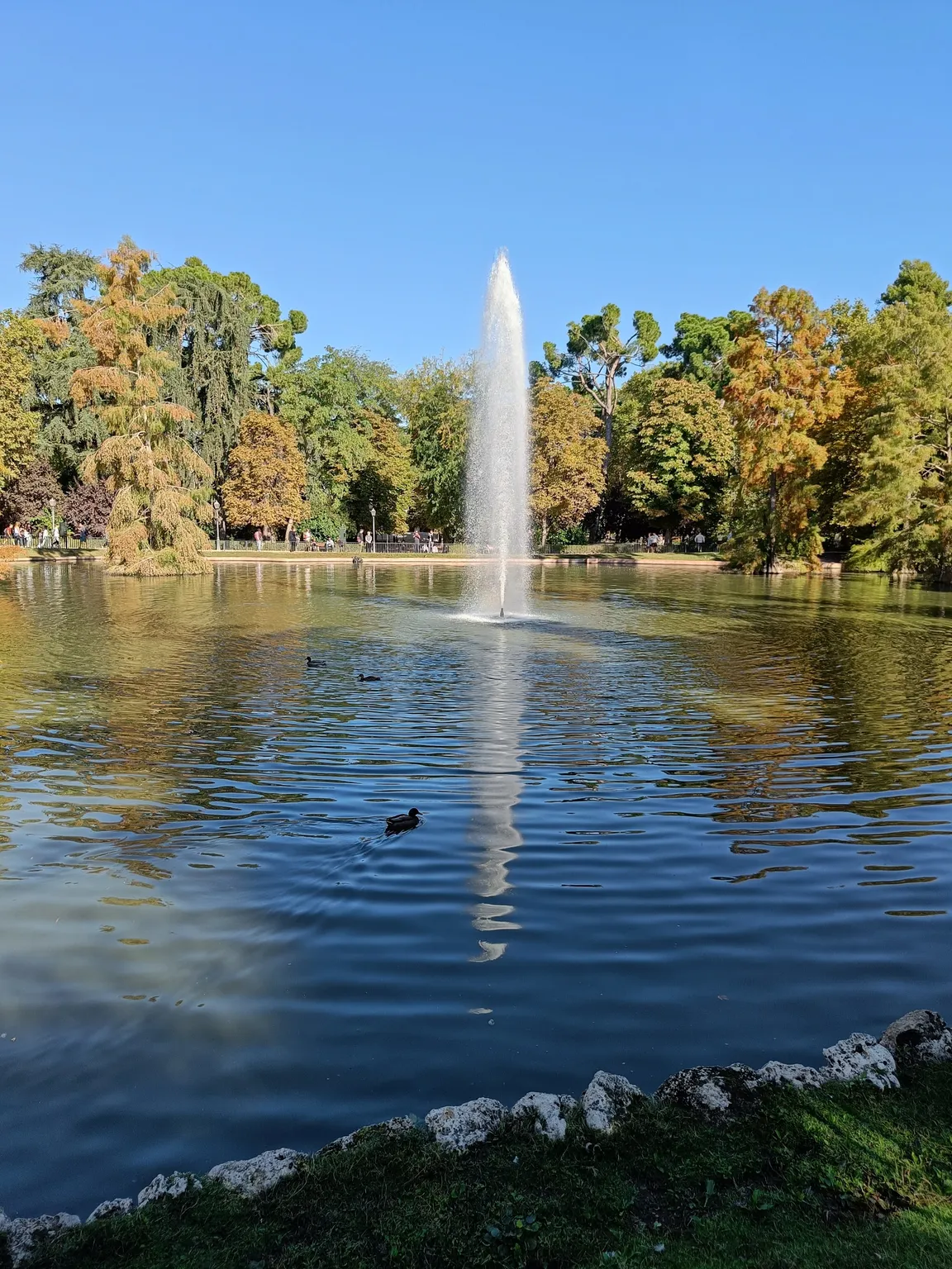 Estanque del Palacio de Cristal, Parque del Retiro