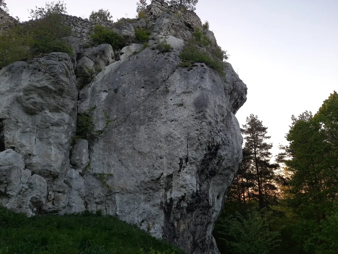 Ruiny Zamku Bąkowiec w Morsku
