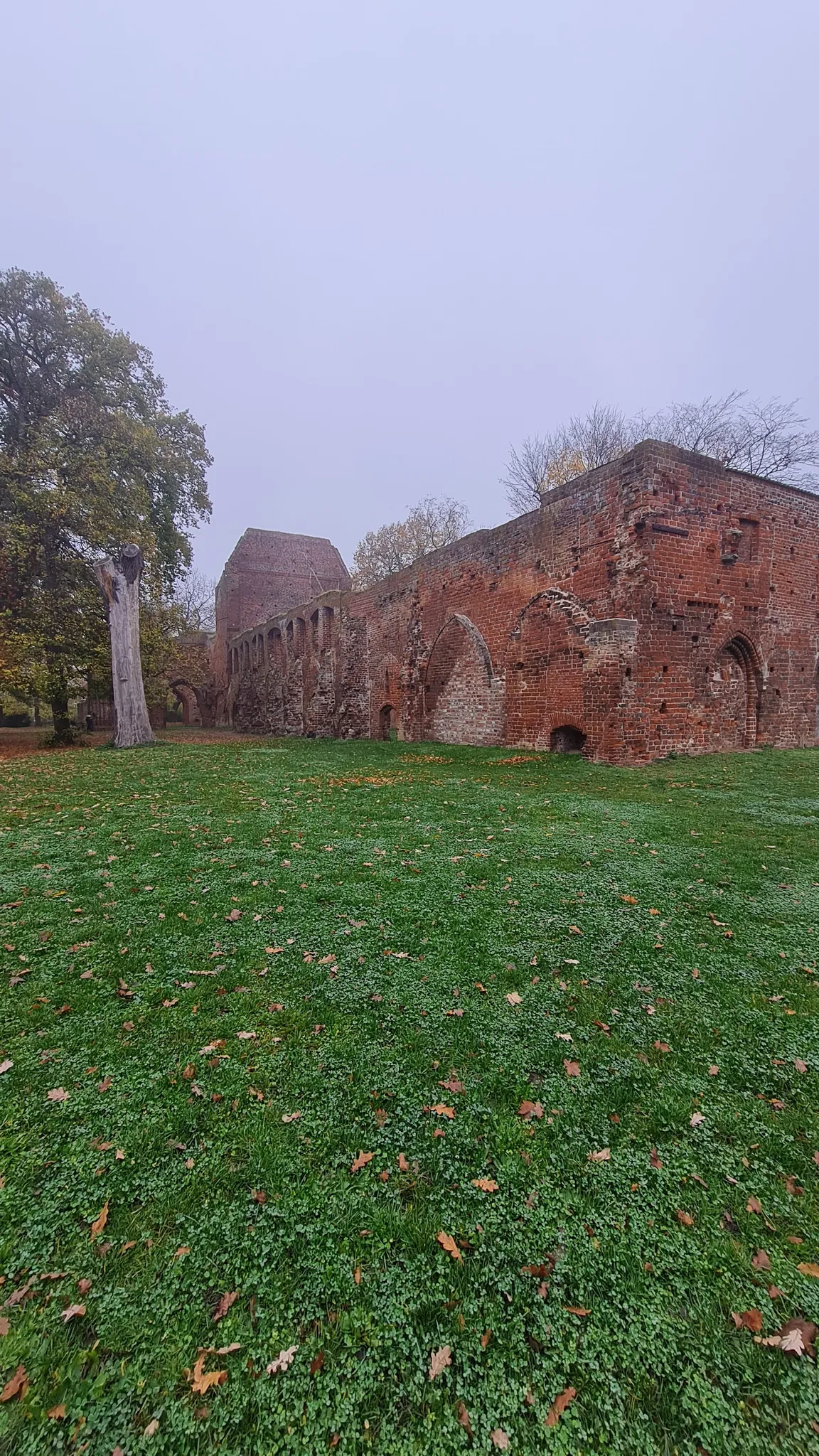 Ruiny klasztoru Eldena