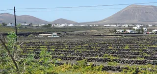 Camino Natural de Fuerteventura GR 131
