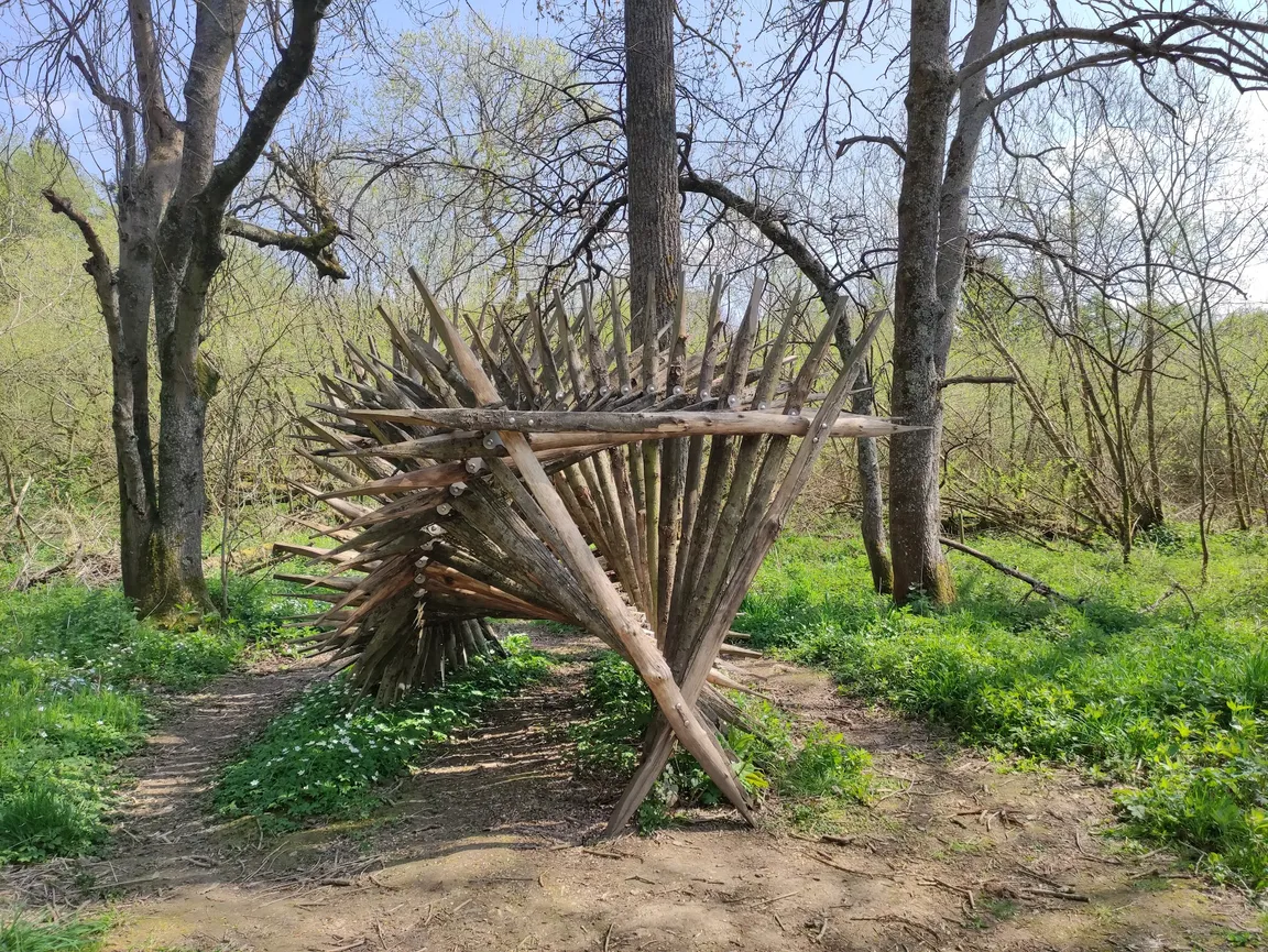 Warnham Local Nature Reserve