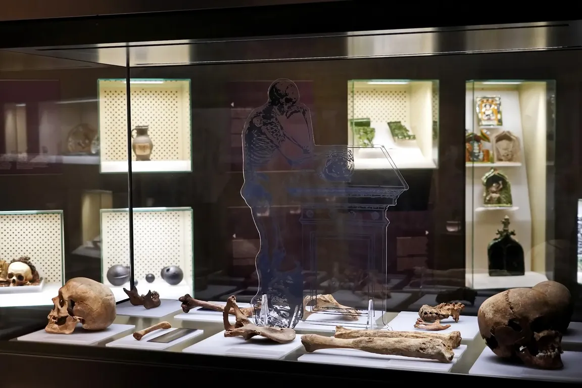 Brandenburg State Archaeology Museum