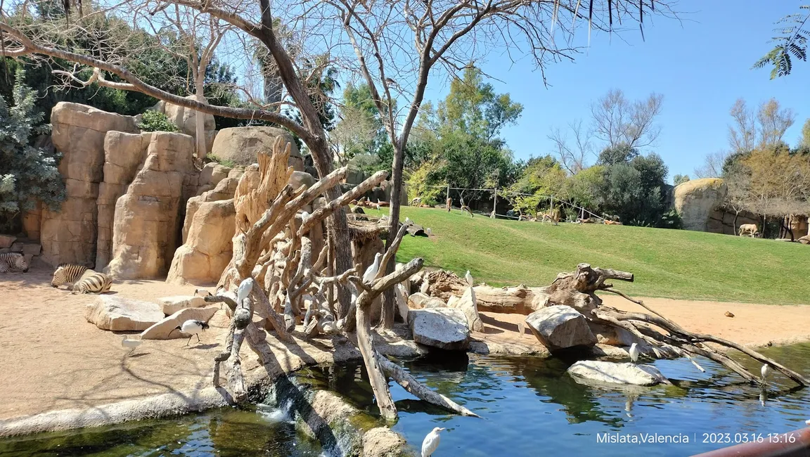 Bioparc Valencia
