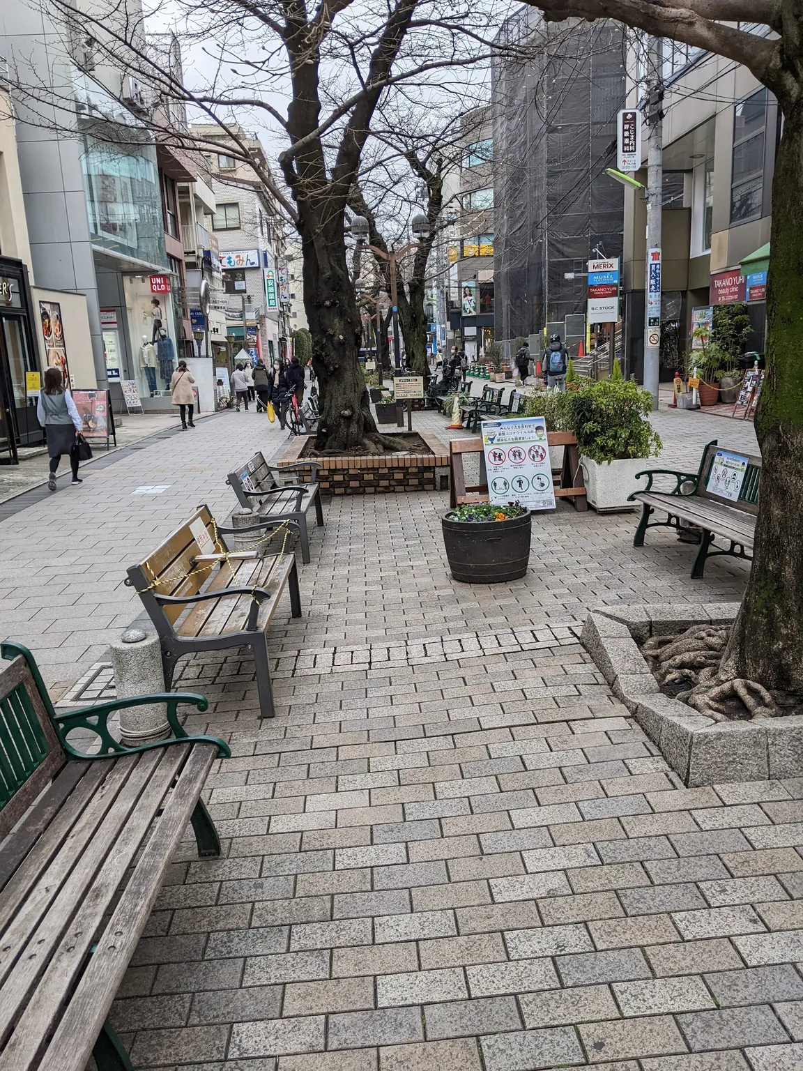 九品仏川緑道