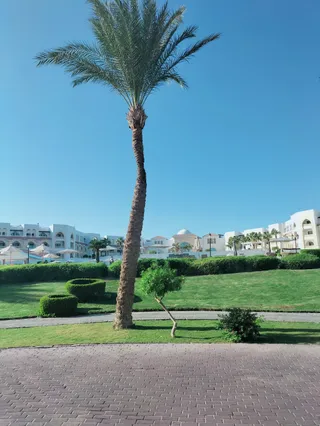 Sahl Hasheesh New Marina