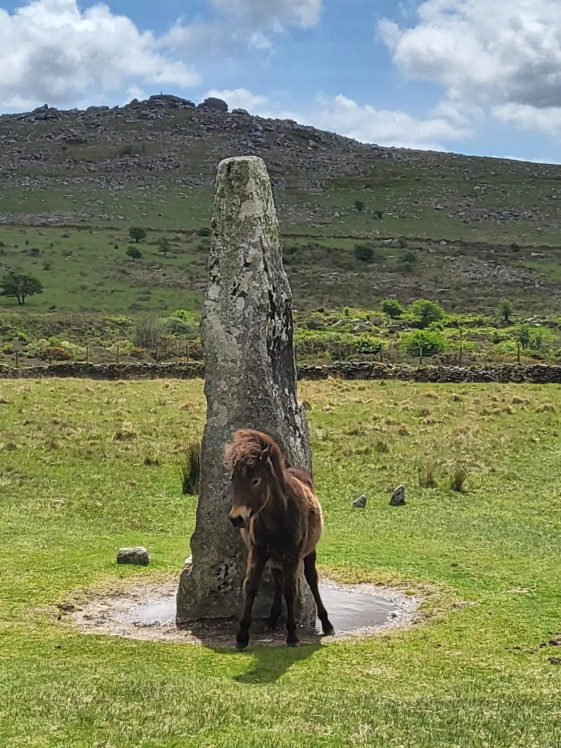 Merrivale Prehistoric Settlement