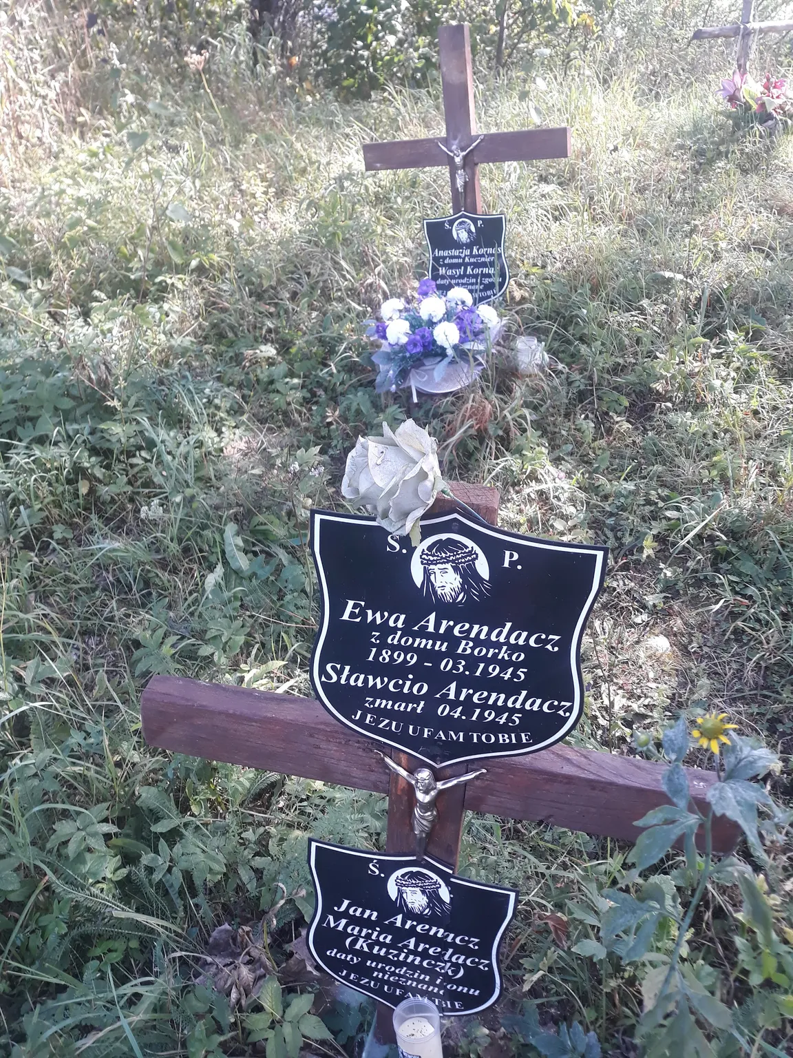 Krywe Rezerwat Przyrody