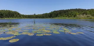 Pole namiotowe Rytebłota -firma Korsarz