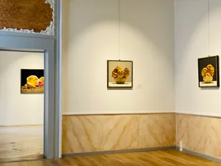 Palazzo Pisani Revedin - Future's Art Gallery