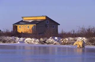 Dymond Lake Ecolodge