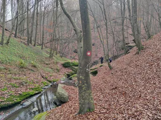 Explore Serbia