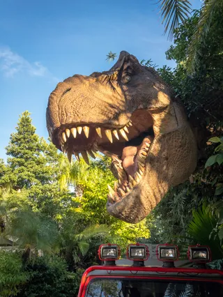 Raptor Encounter