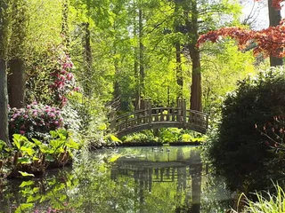 Winterbourne House & Garden